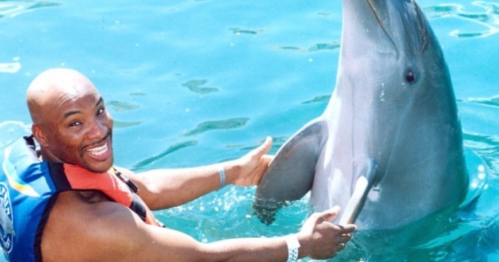 Dolphin Discovery Swim Tortola